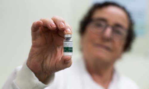 Volta Redonda inicia vacinação contra a dengue com novo imunizante do Instituto Butantan